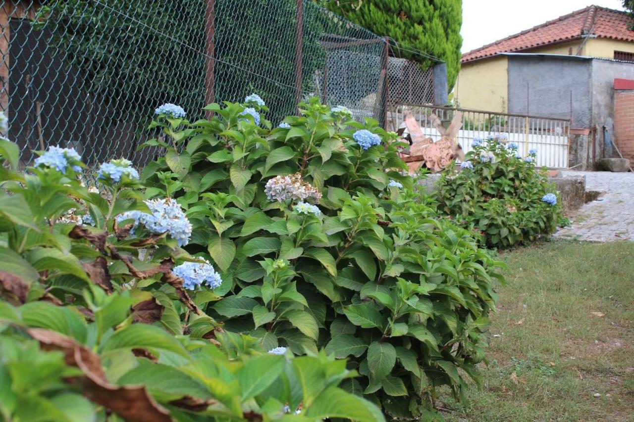 Quinta Da Imaculada Villa Аркос де Валдевез Екстериор снимка
